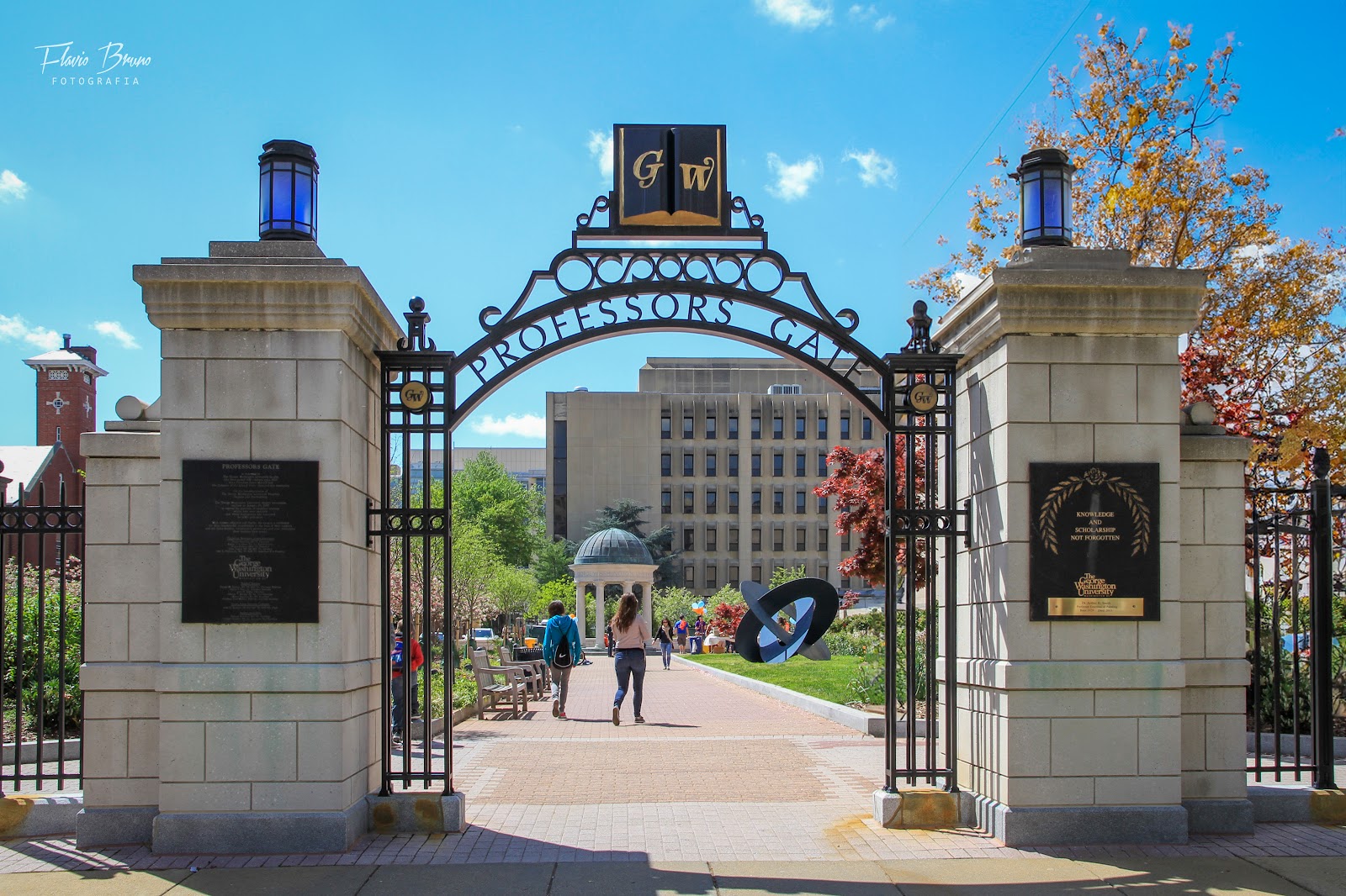 George Washington University