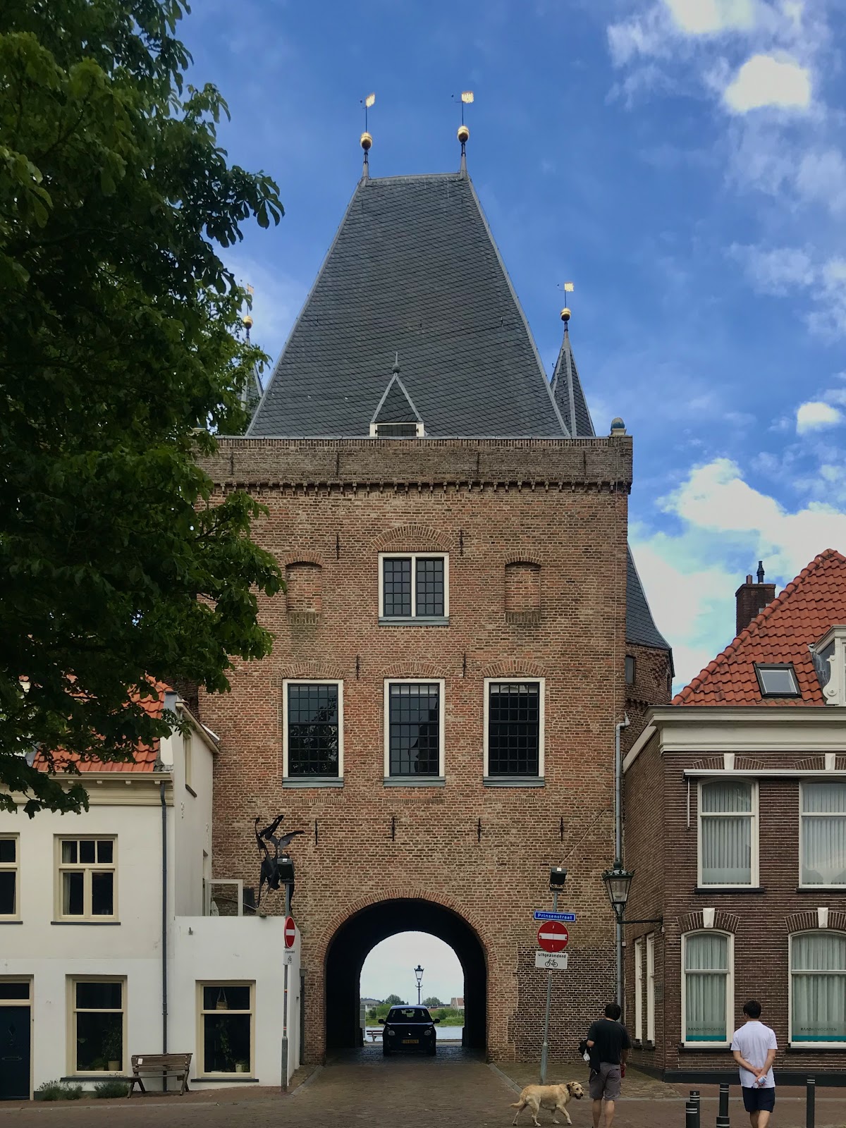 Theological University Kampen photo 6