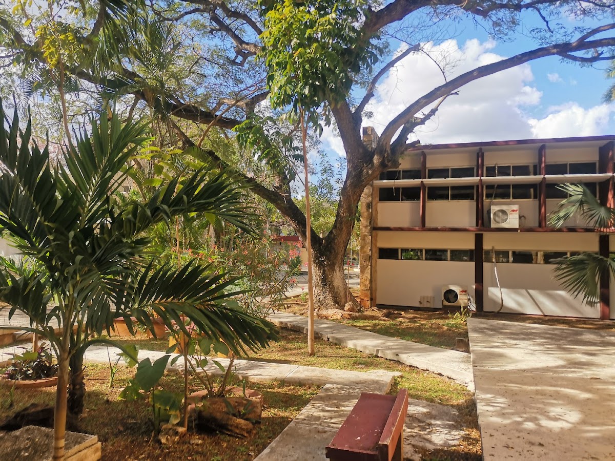 Technological Institute of Mérida photo 6