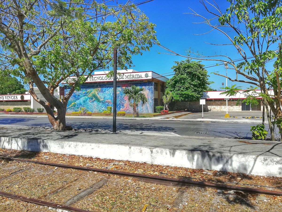 Technological Institute of Mérida photo 7