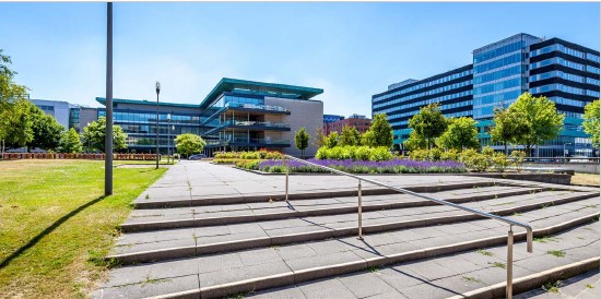 IBS International Business School The Hague