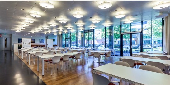 IBS International Business School The Hague photo 1