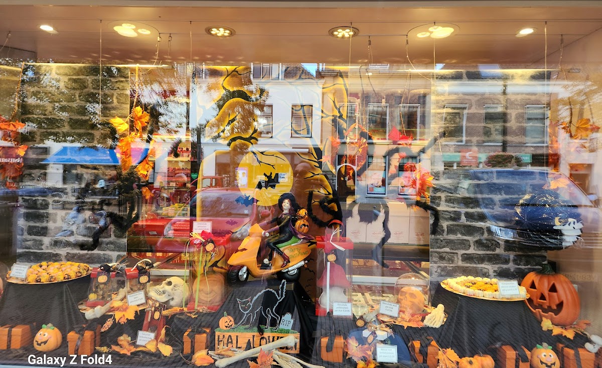 IBS International Business School The Hague photo 6