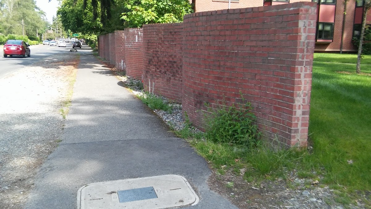 Pacific Lutheran University photo 2