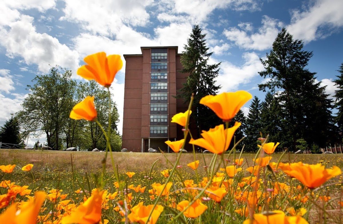 Pacific Lutheran University photo 5