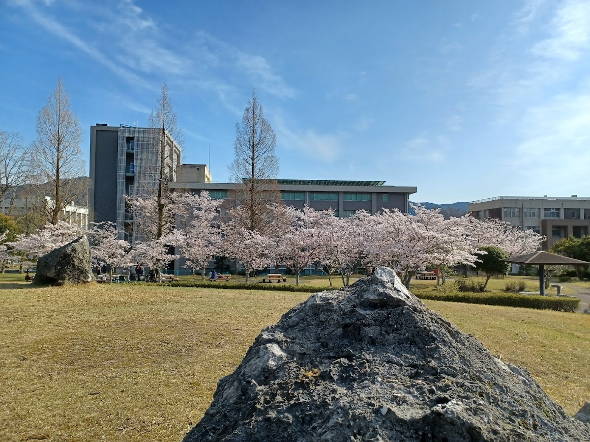 Yamaguchi University photo 4