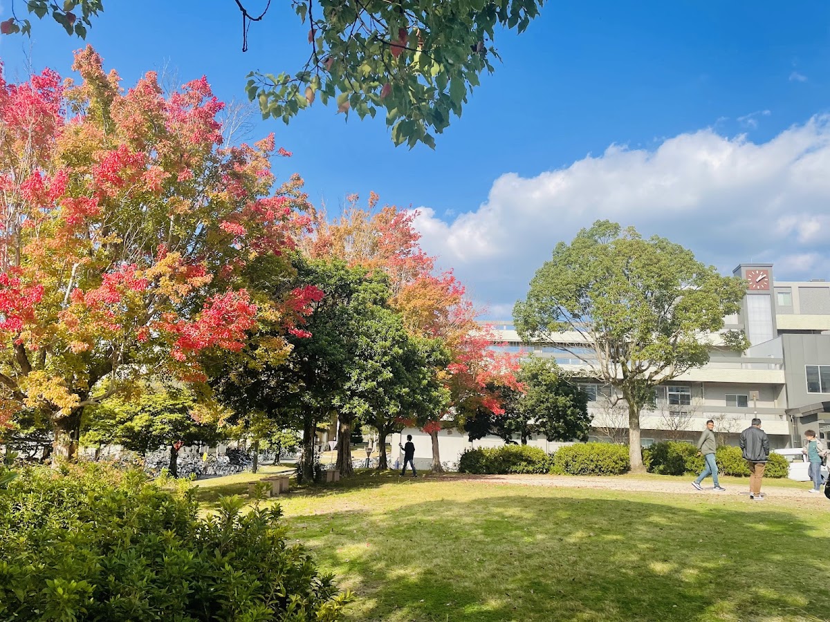 Yamaguchi University photo 7