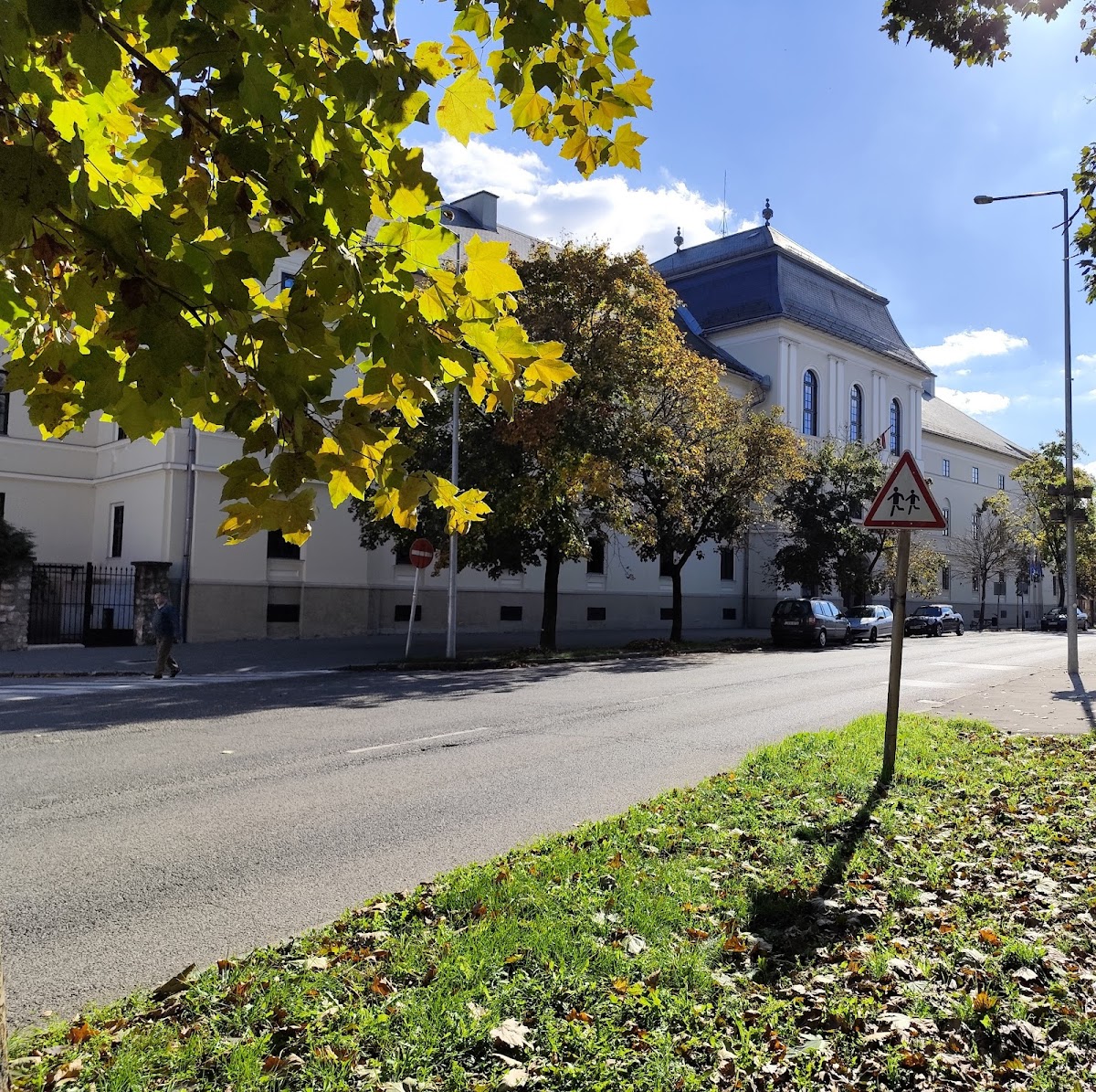 Reformed Theological Academy of Sárospatak photo 7