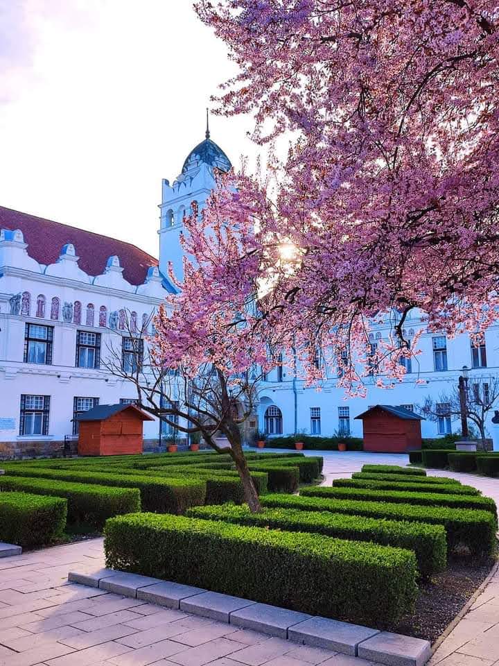 Reformed Theological Academy of Sárospatak photo 8