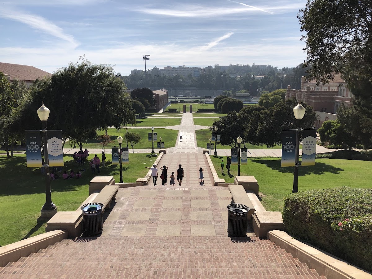 University_1295 photo 6