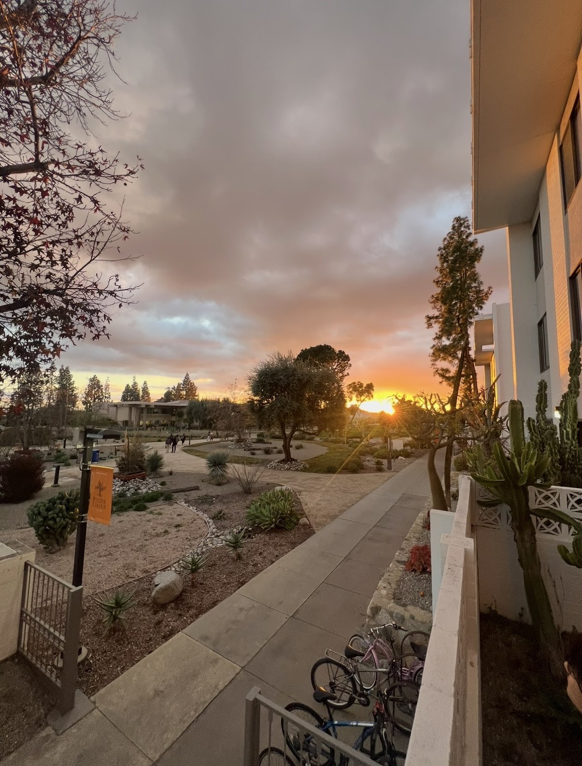 Pitzer College photo 8