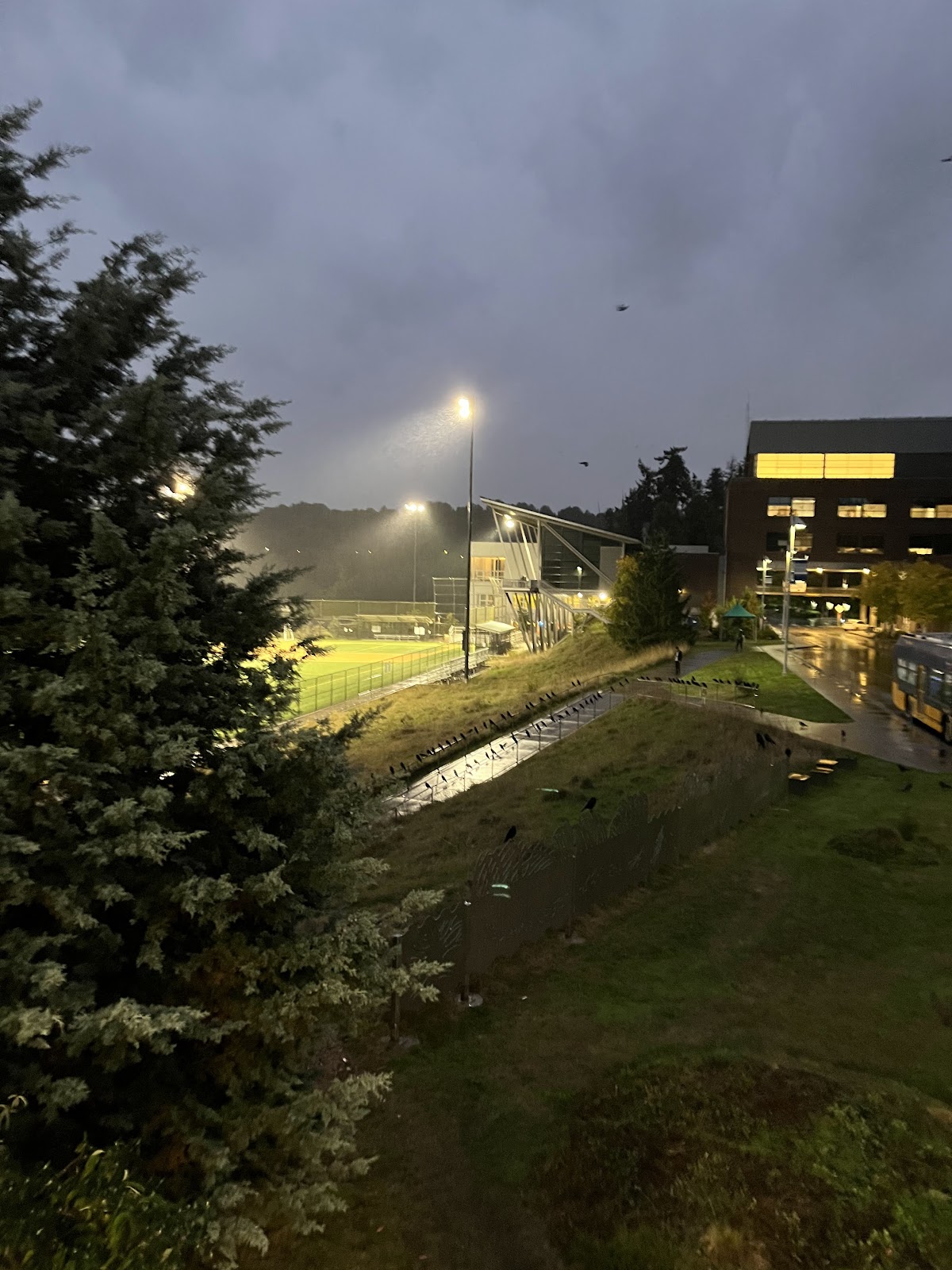 University of Washington Bothell photo 7