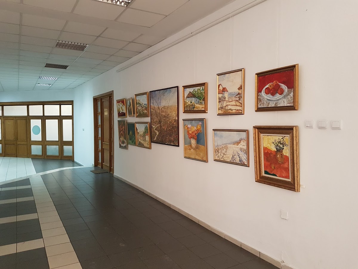 University of Pitești photo 7