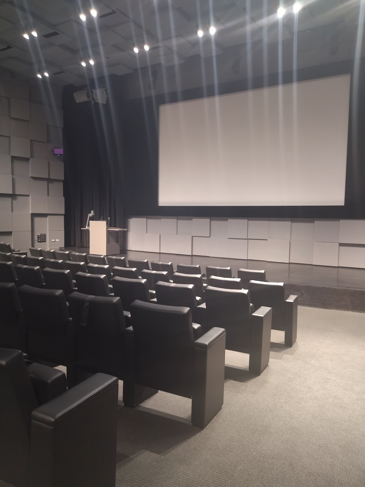 Northwestern University in Qatar photo 8