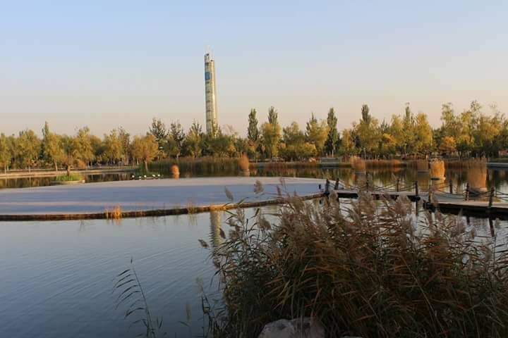Ningxia University photo 3