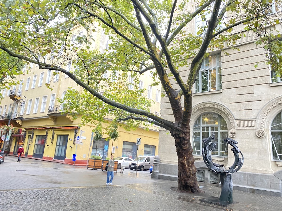 Liszt Ferenc Academy of Music photo 4