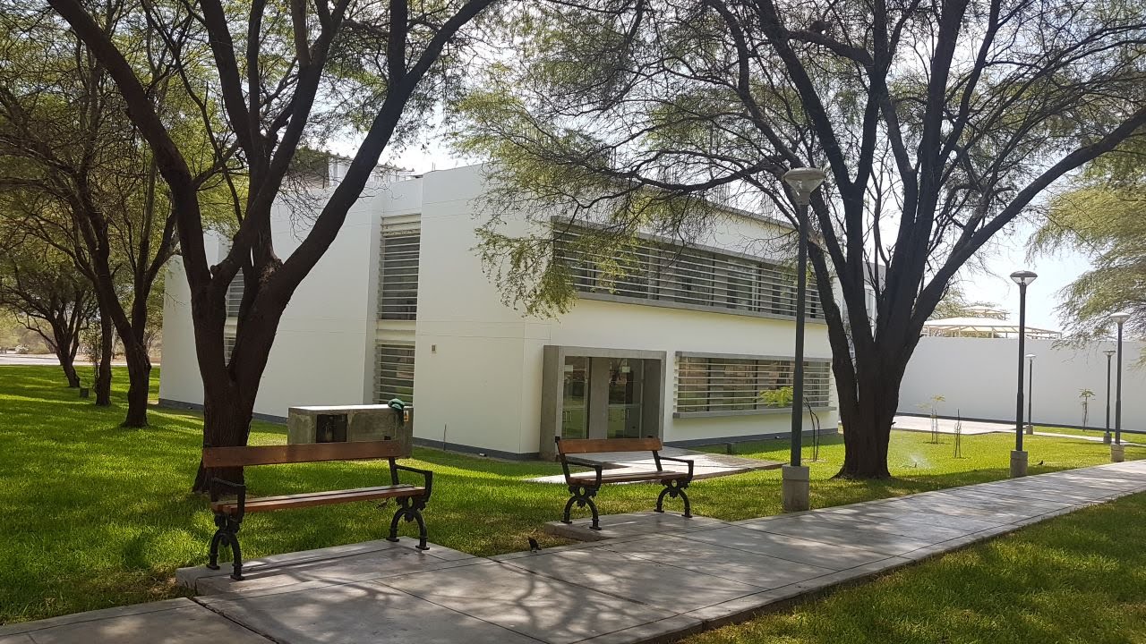 University of Piura