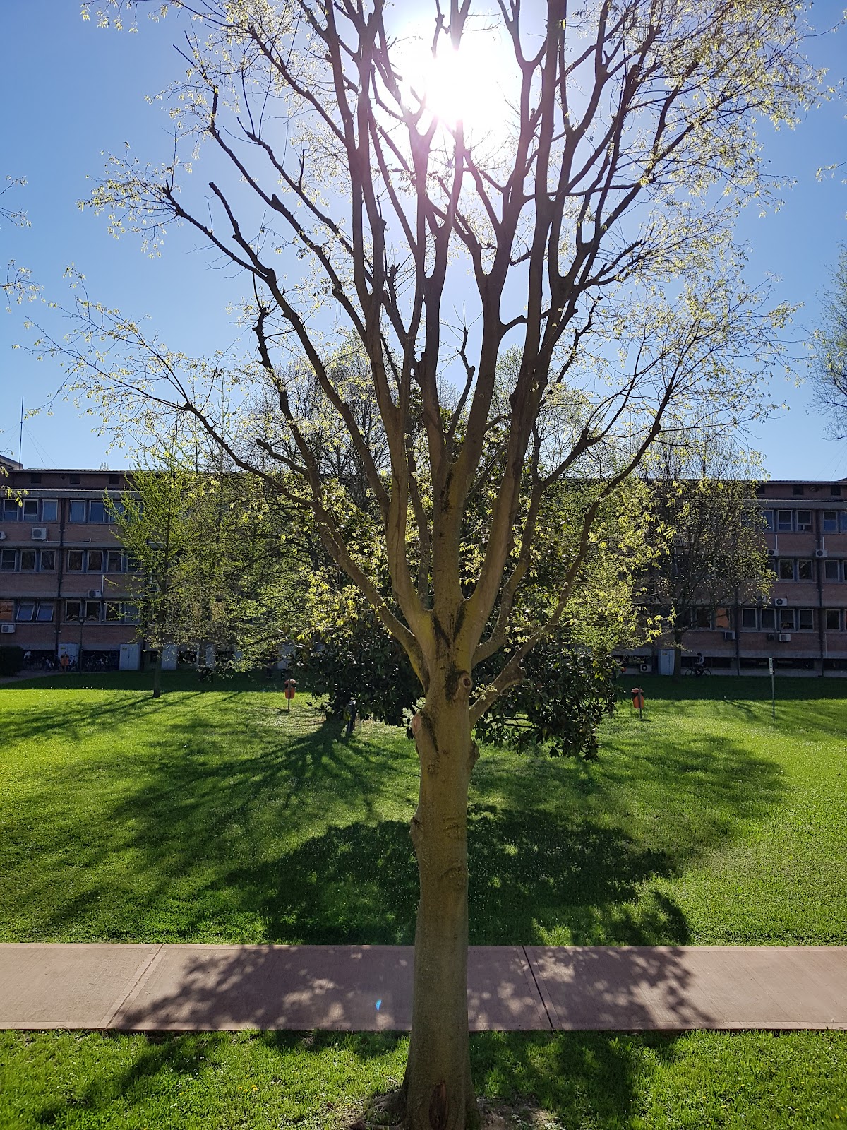 University of Ferrara photo 5