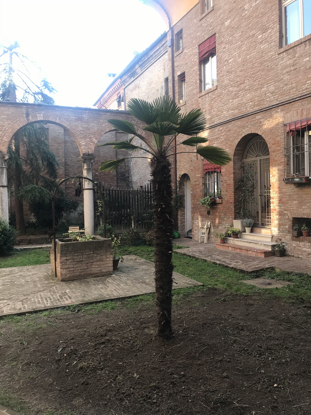 University of Ferrara photo 6