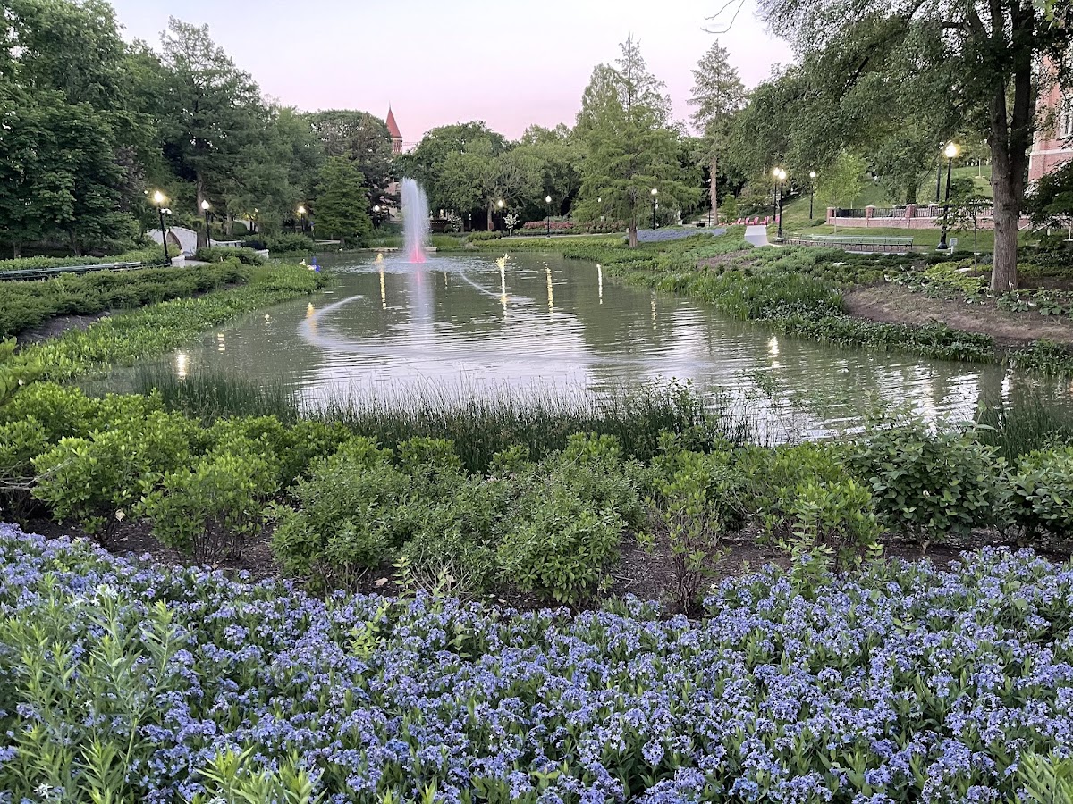 Ohio State University photo 4