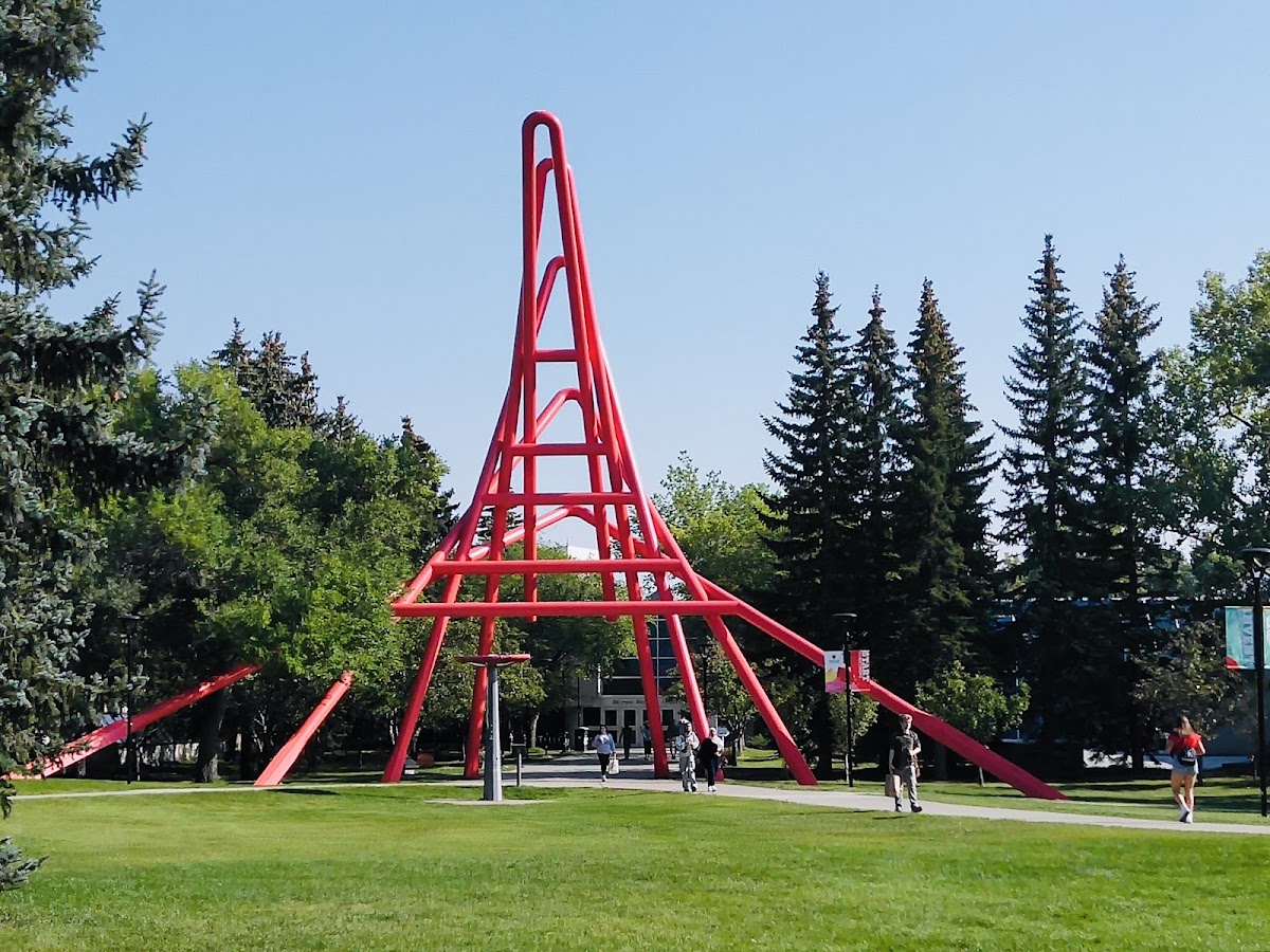 University of Calgary photo 6