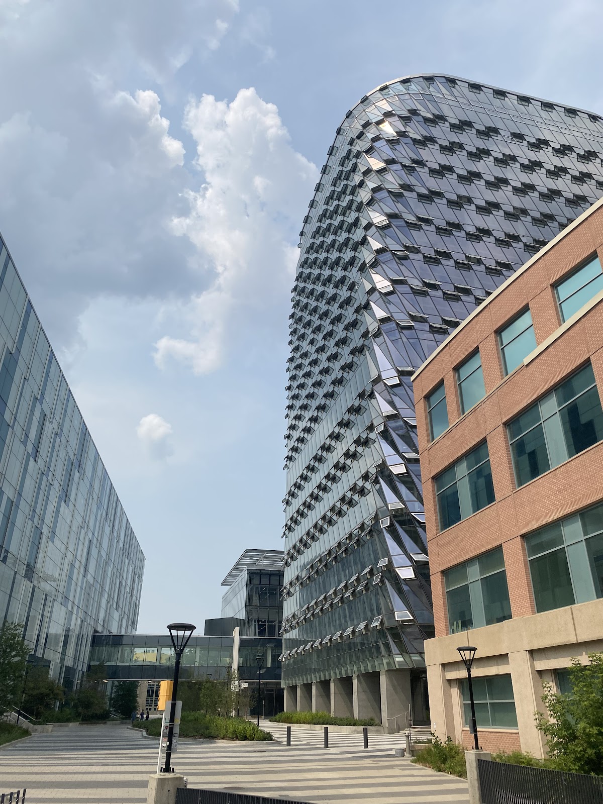 University of Calgary photo 9