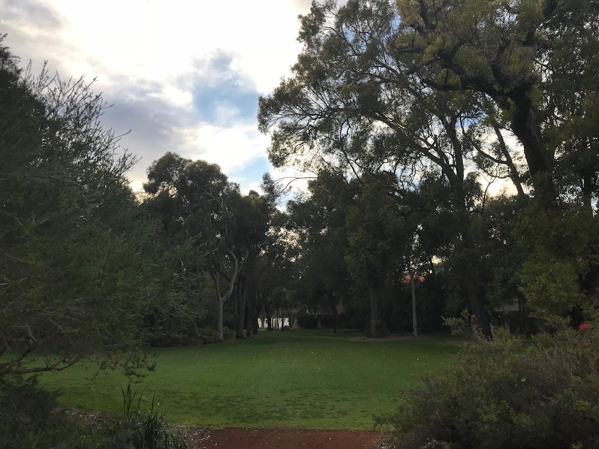 University of Western Australia photo 8