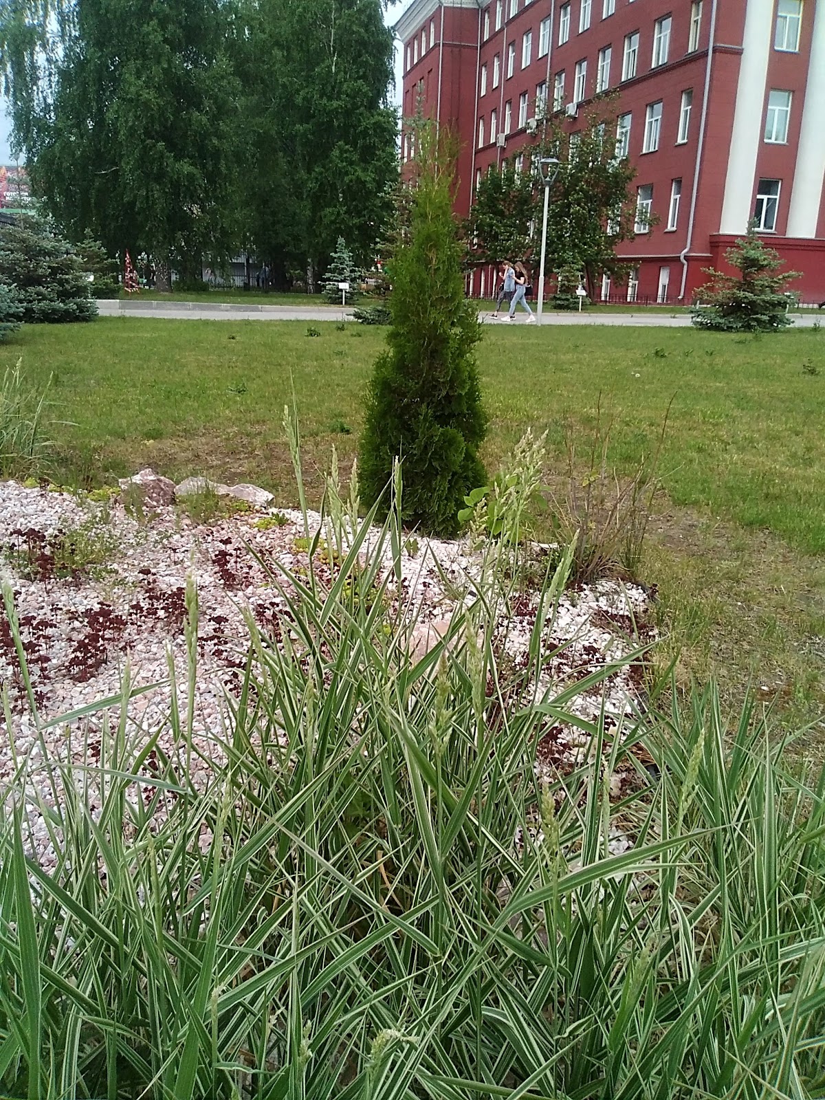 Novosibirsk State Technical University photo 9