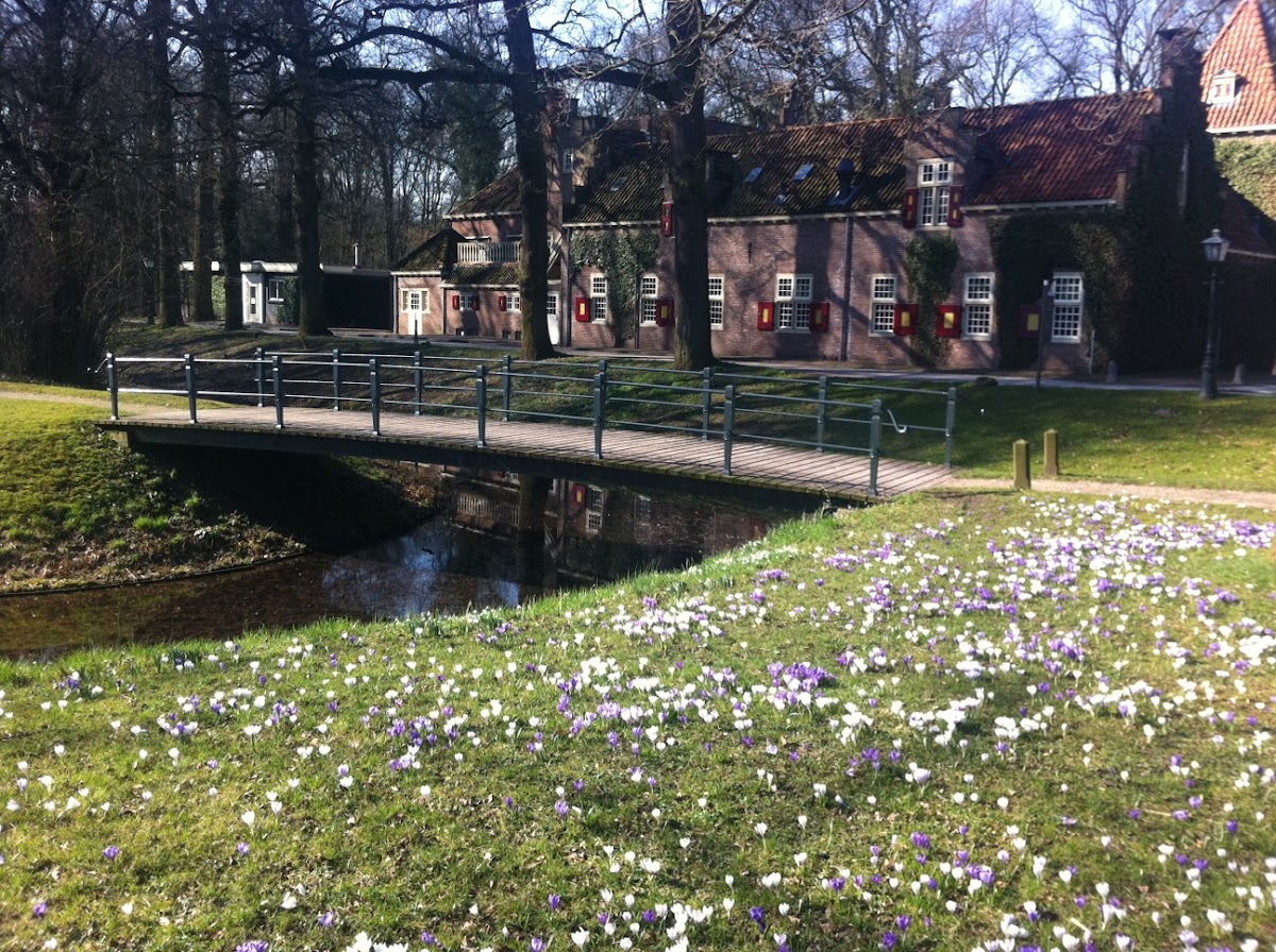 Nyenrode Business University photo 7