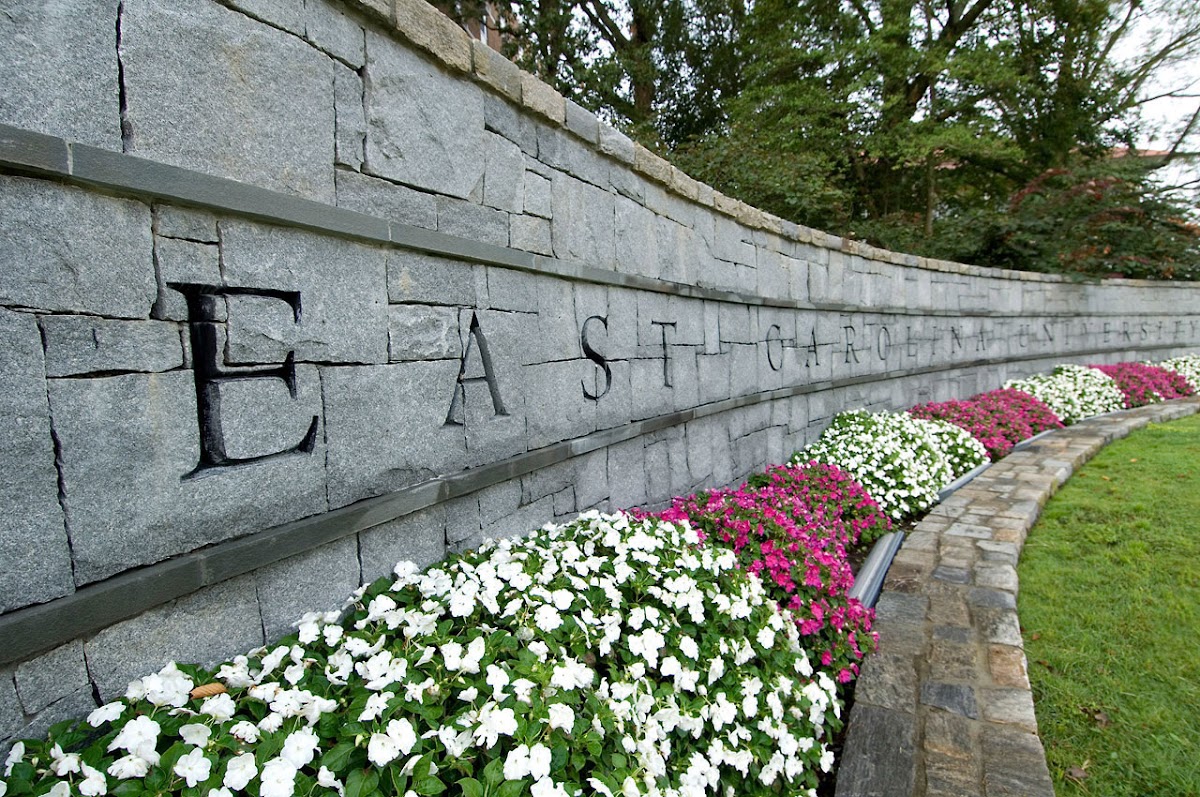 East Carolina University photo 3