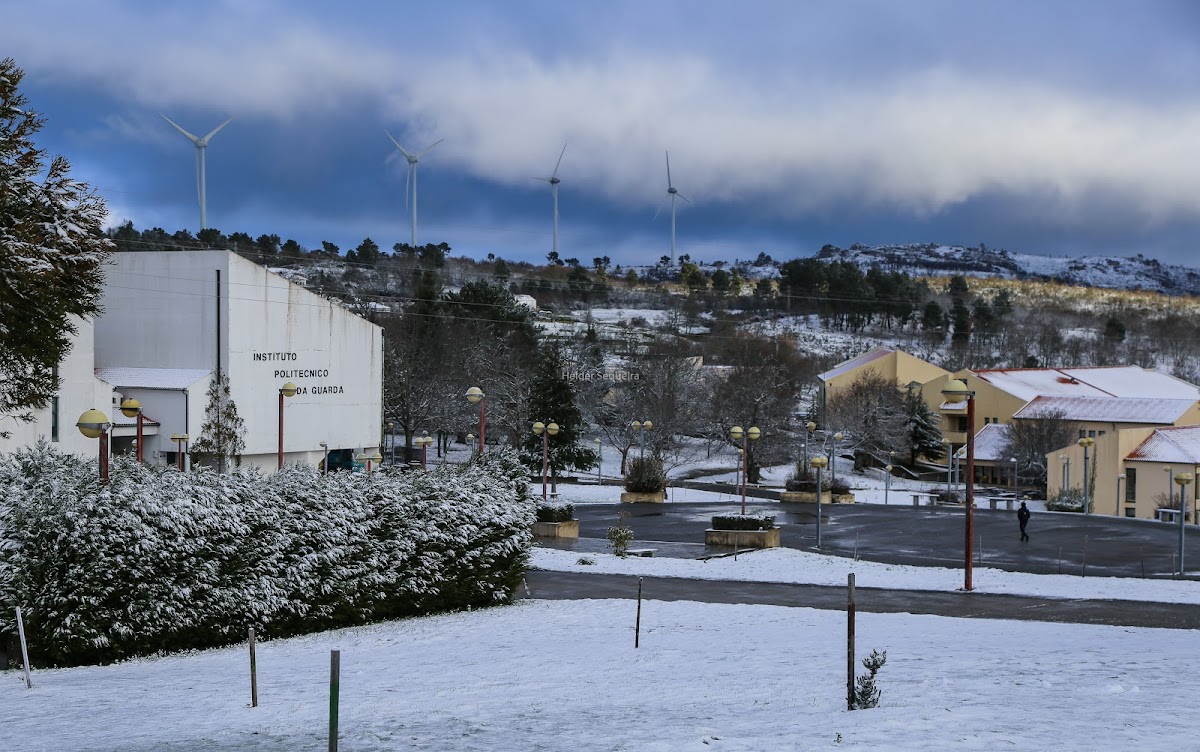 Instituto Politécnico de Guarda photo 3