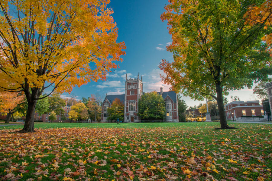 Bowdoin College photo 4