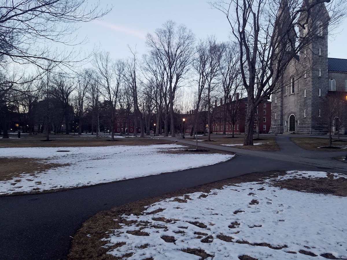 Bowdoin College photo 5