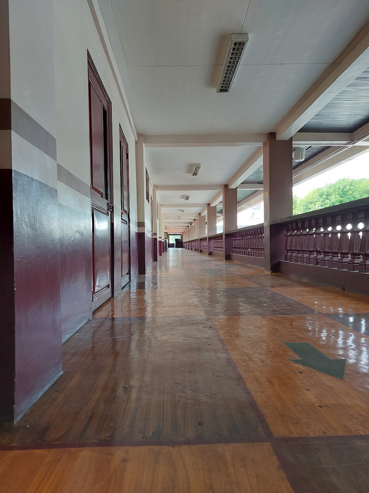 Tarlac State University photo 8