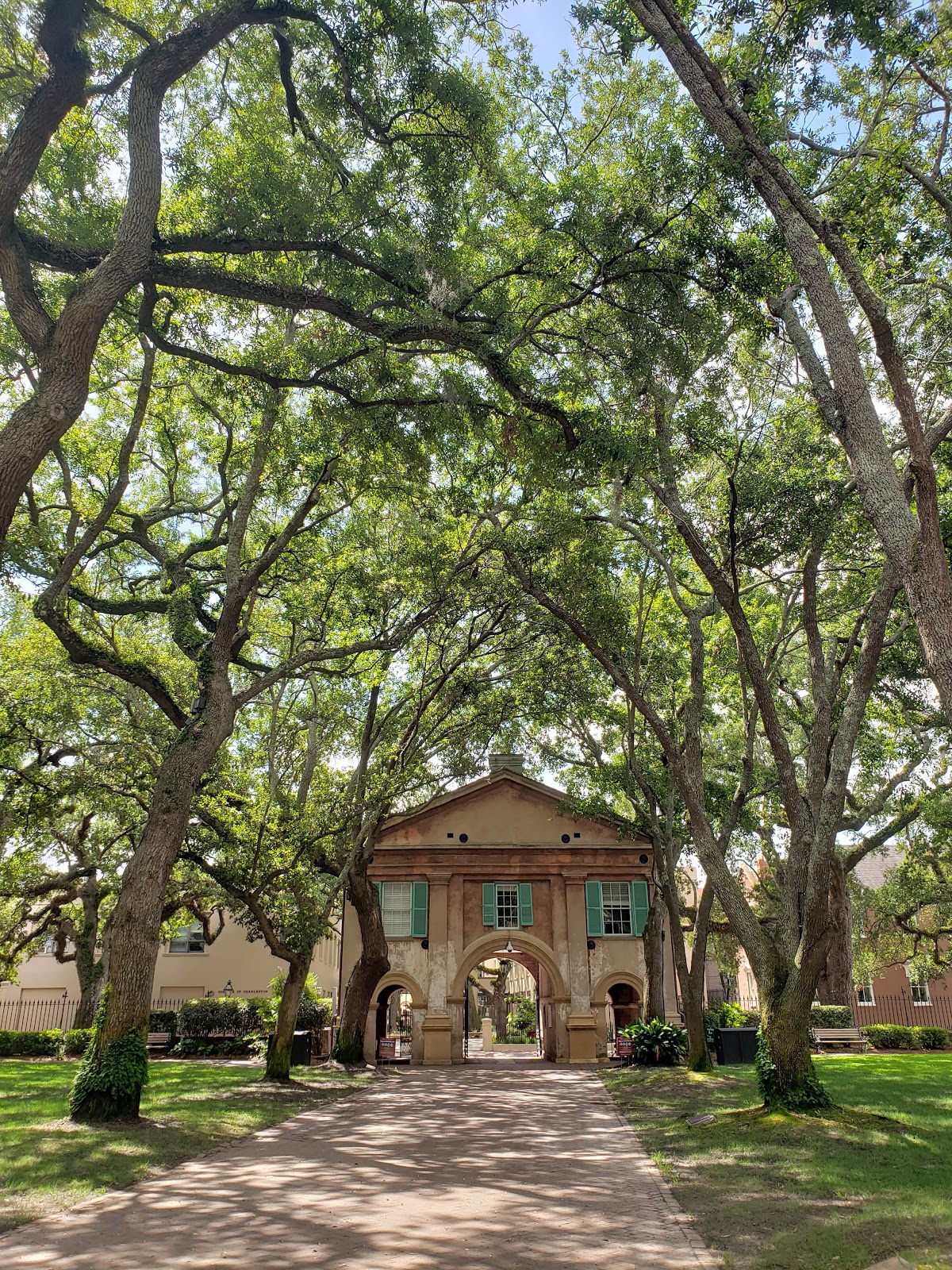 College of Charleston photo 7