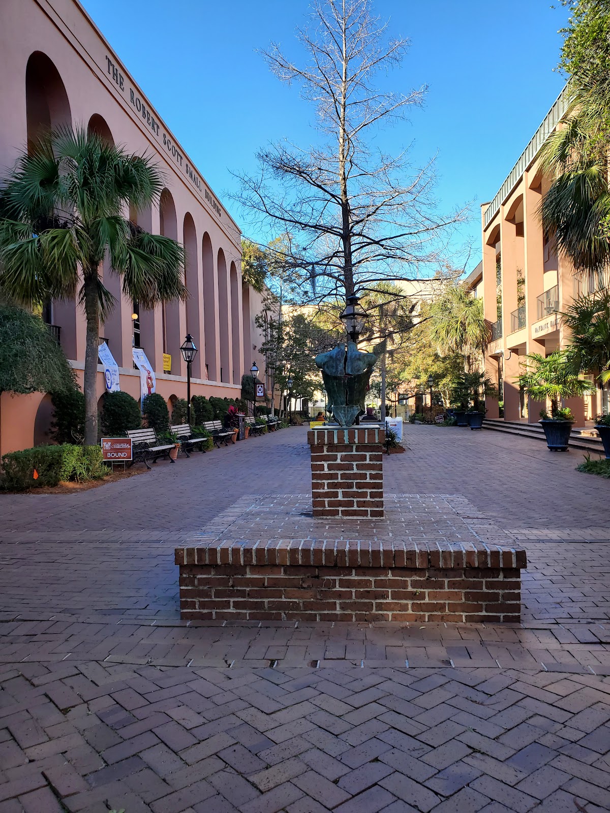 College of Charleston photo 8