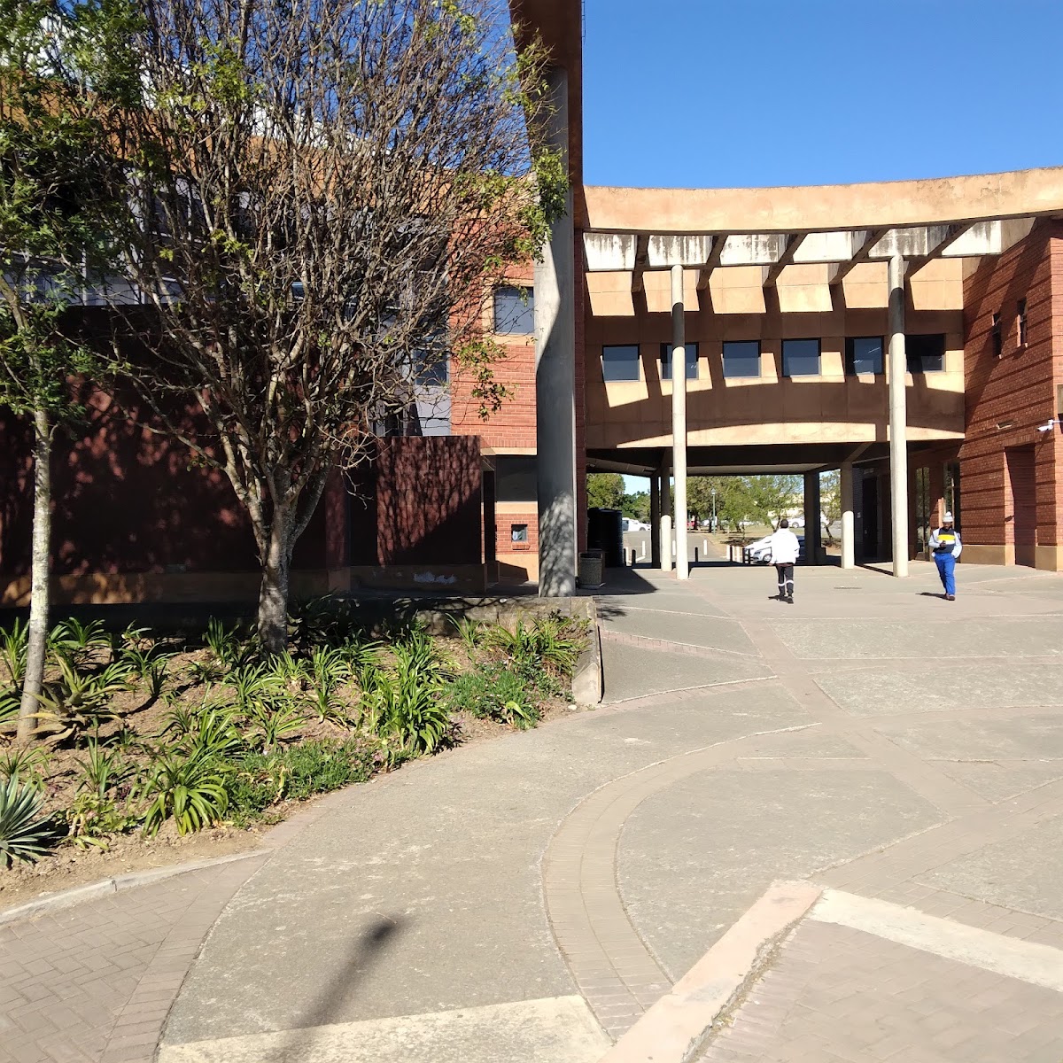 Walter Sisulu University photo 7