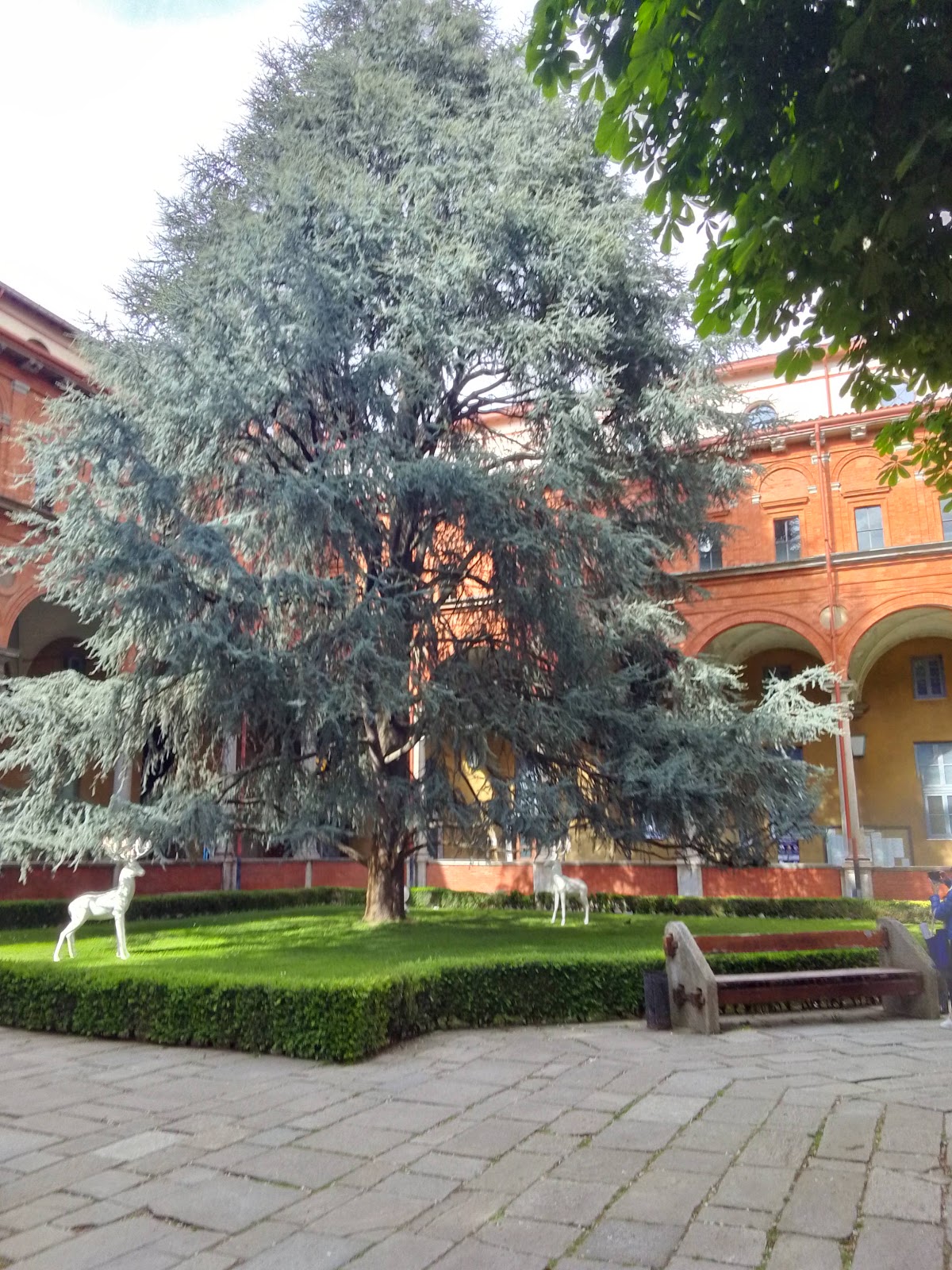 Catholic University of the Sacred Heart photo 8