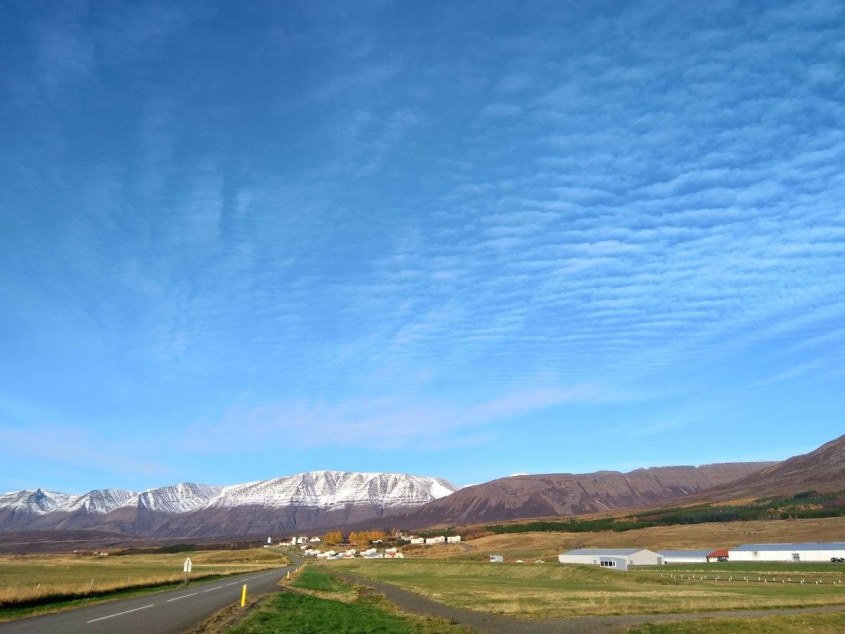 Holar University College photo 4