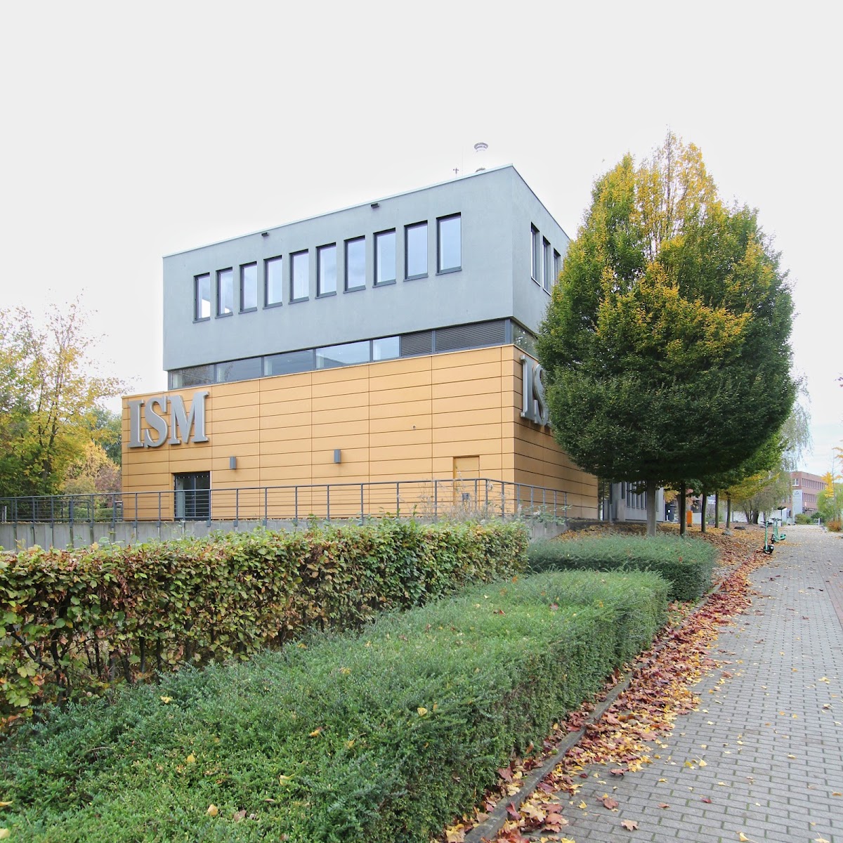 ISM International School of Management photo 9