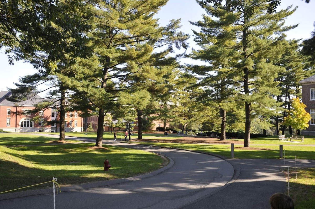 Amherst College photo 2