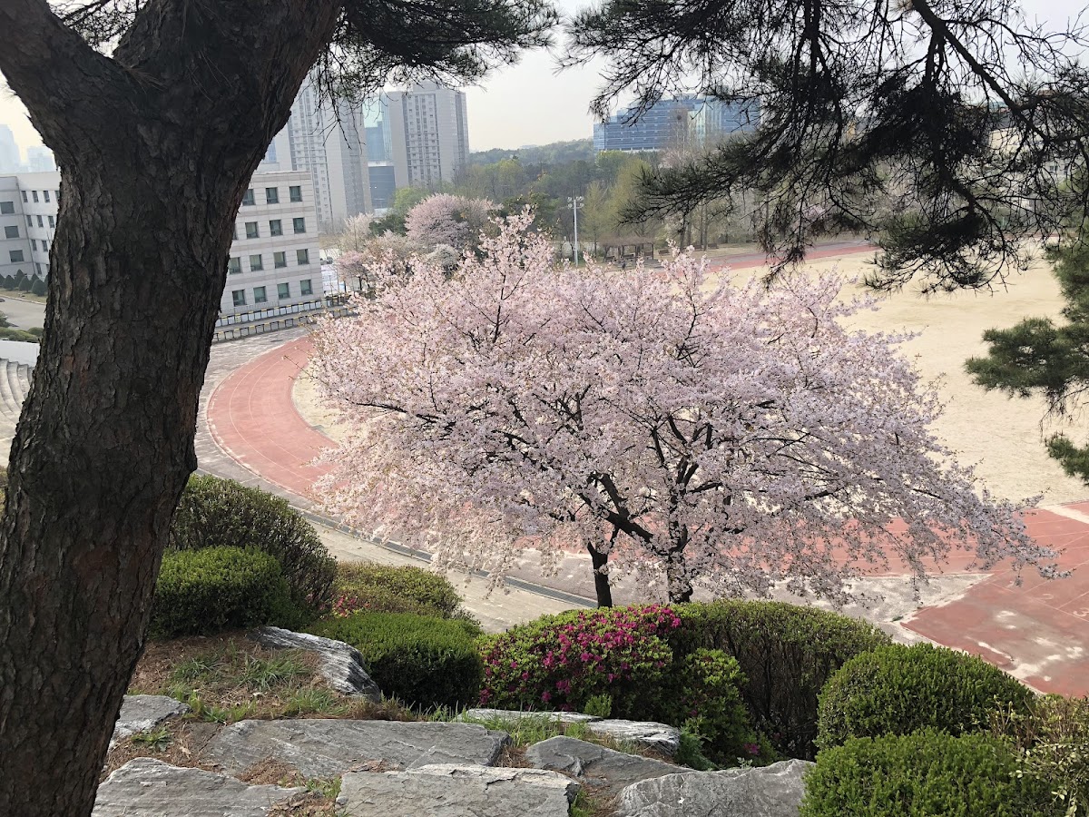 Gyeonggi University photo 6