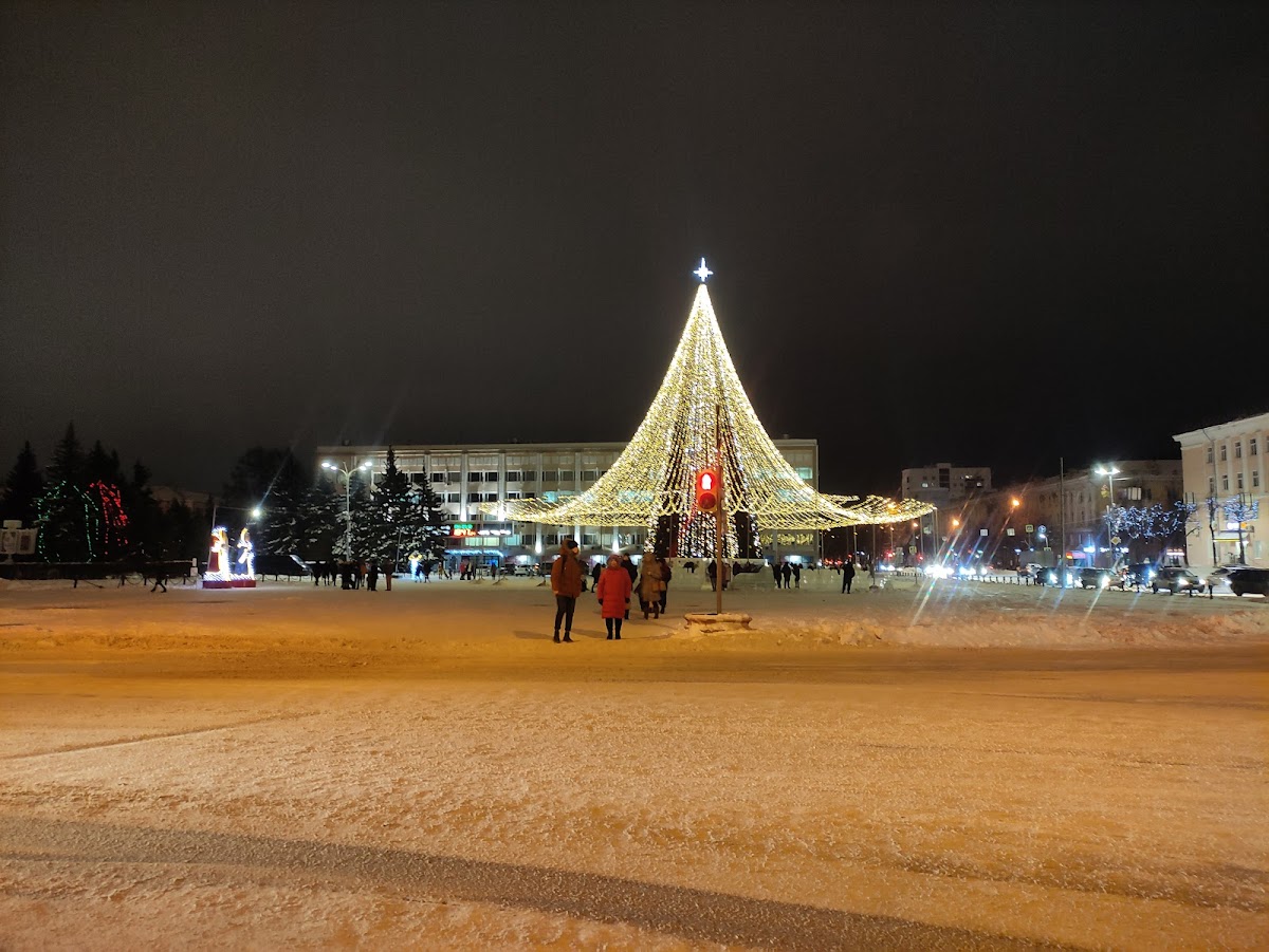 Mari State University photo 8