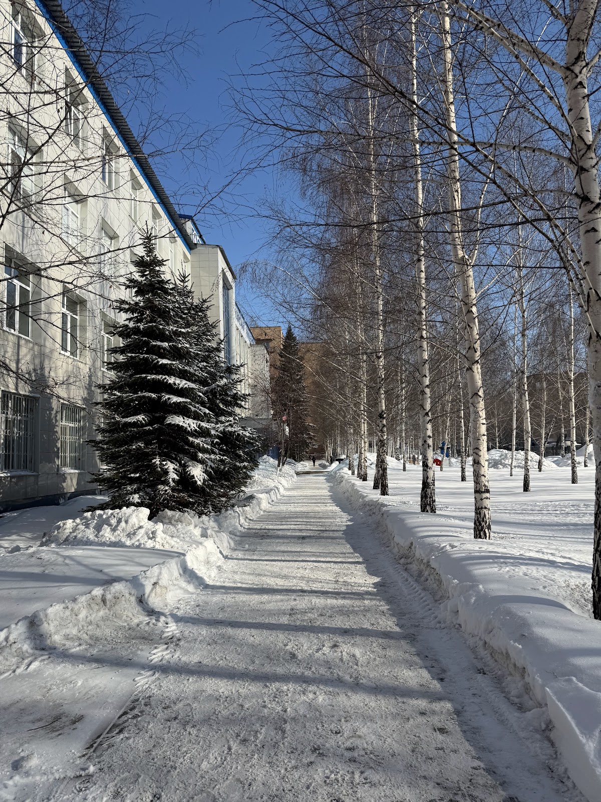 Samara State Medical University photo 6