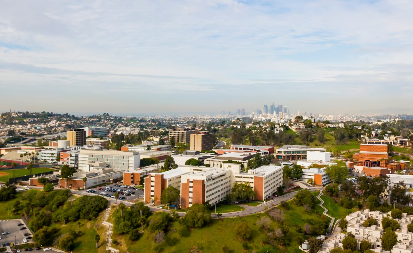 State University 3178