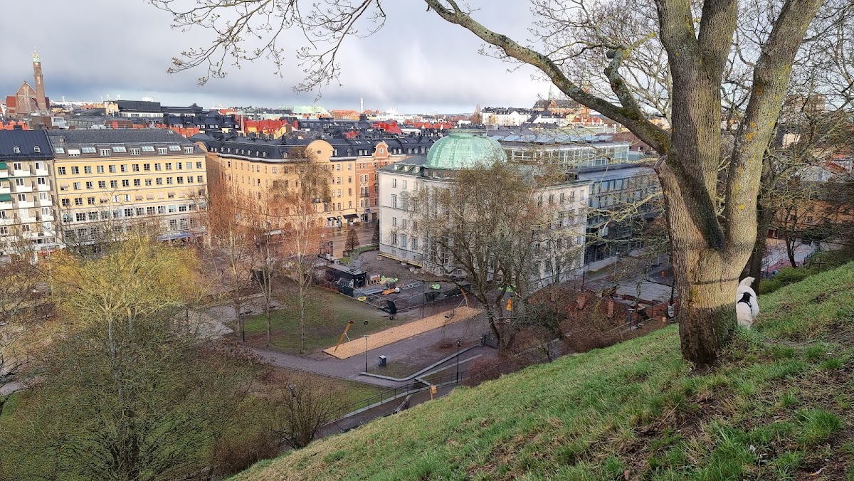 Handelshögskolan i Stockholm Executive Education photo 1