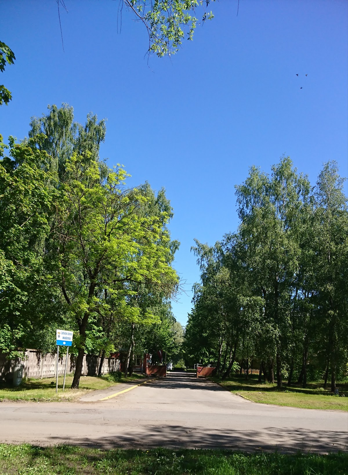 Latvian Maritime Academy photo 8