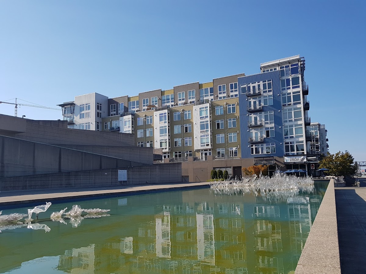 University of Washington Tacoma photo 6