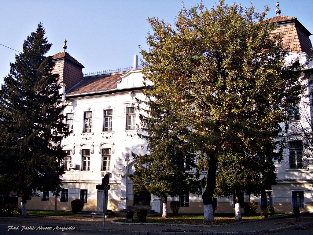 Petru Maior University of Târgu Mureș photo 6