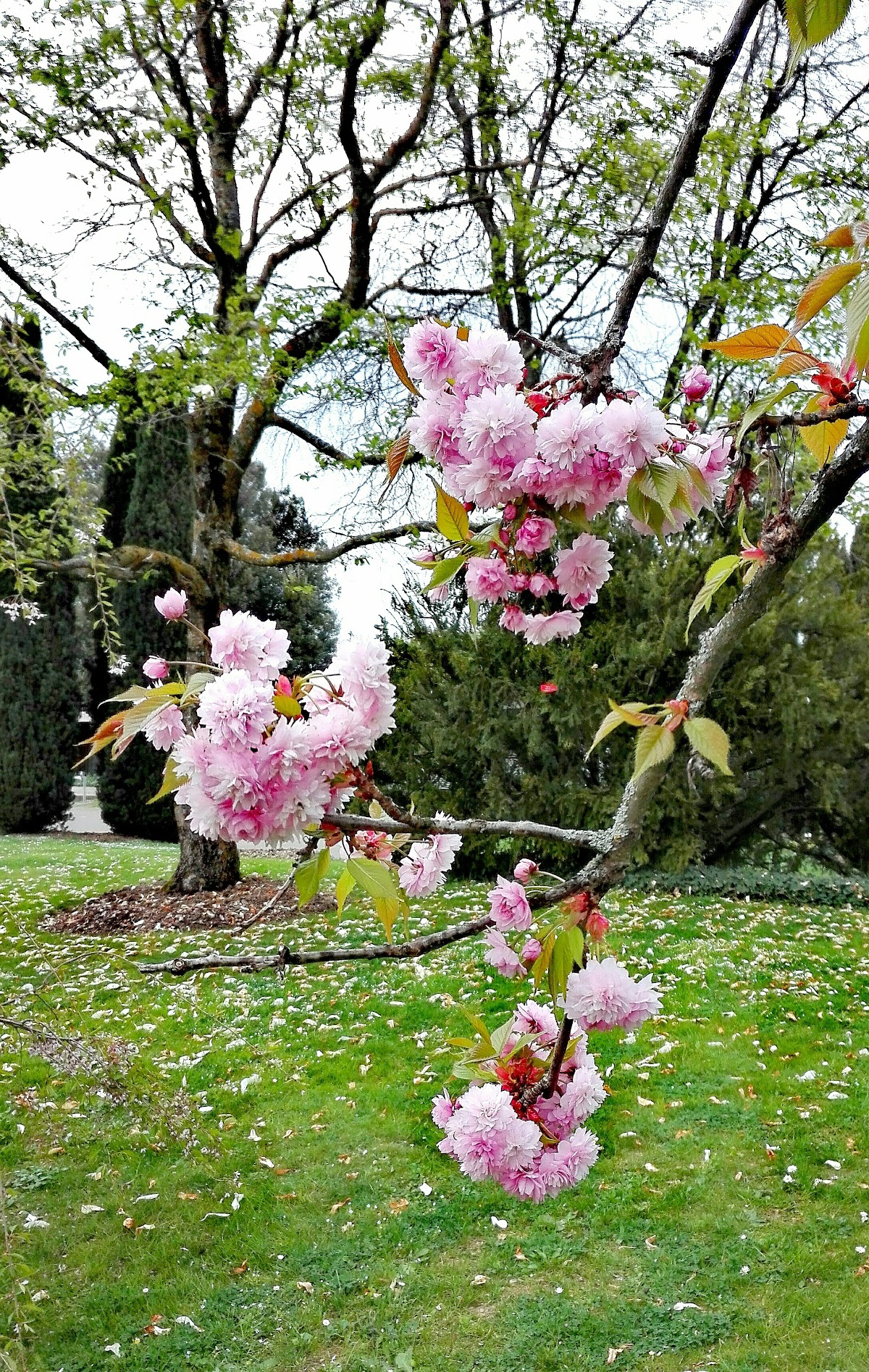 hepia - Haute école du paysage, d'ingénierie et d'architecture de Genève photo 7